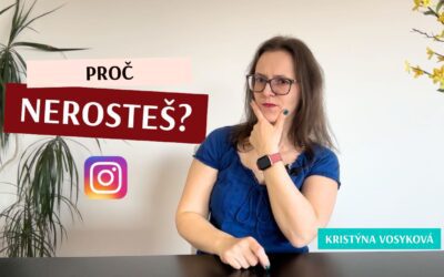 Jak nastavit Instagram Bio pro podnikání: 4 kroky, jak přestat ztrácet sledující